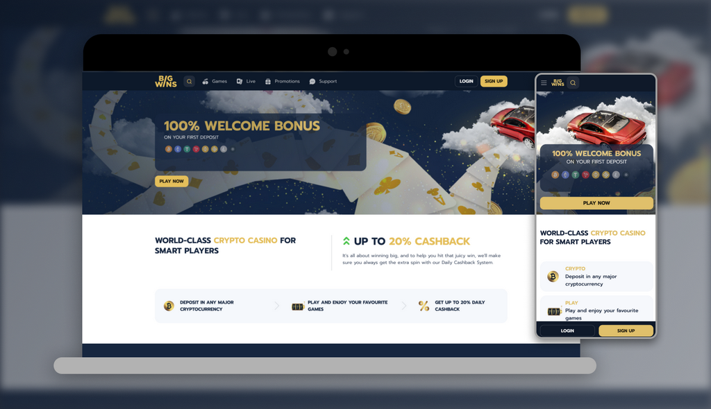 Bigwins Gambling Establishment Evaluation 2025